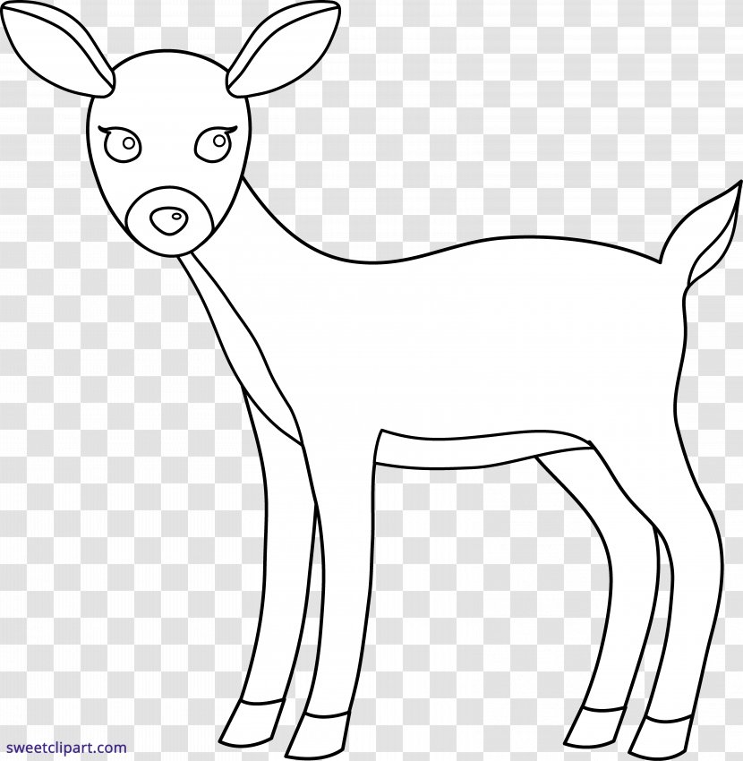 White-tailed Deer Clip Art - Head Transparent PNG