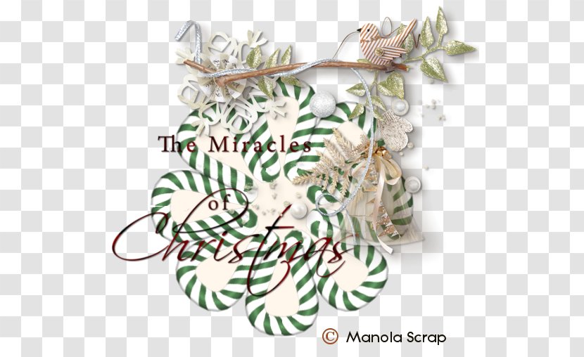 Christmas Ornament Pine Branching Family Transparent PNG