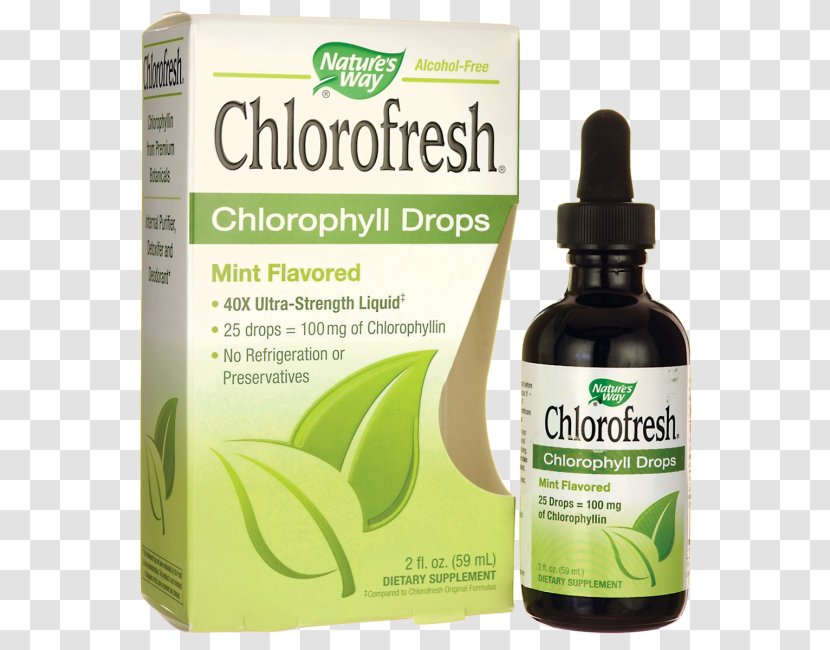 Nature Chlorophyll Mint Plants Herbalism - Flavor - Juice Drop Transparent PNG