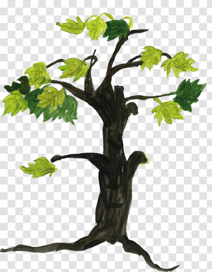 Tree Drawing - Plant Stem - Doodle Transparent PNG
