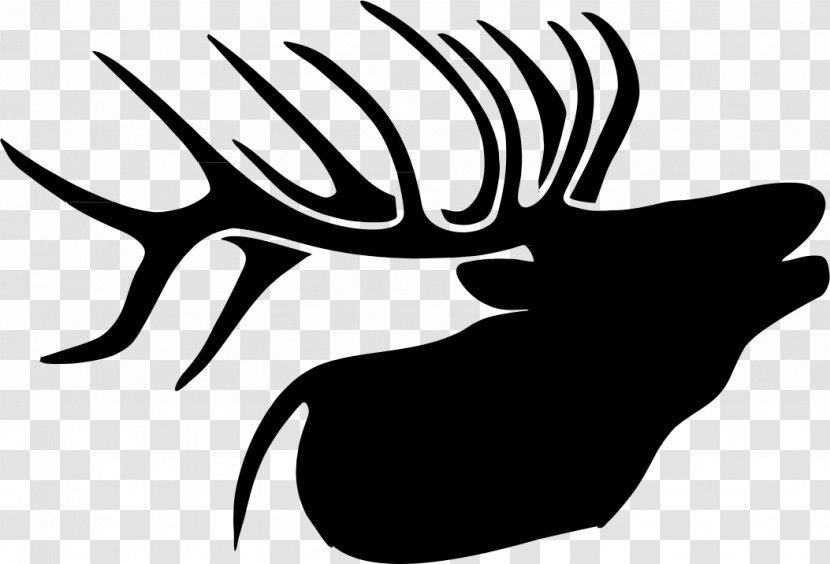 Elk Deer Drawing Clip Art - Horn Transparent PNG
