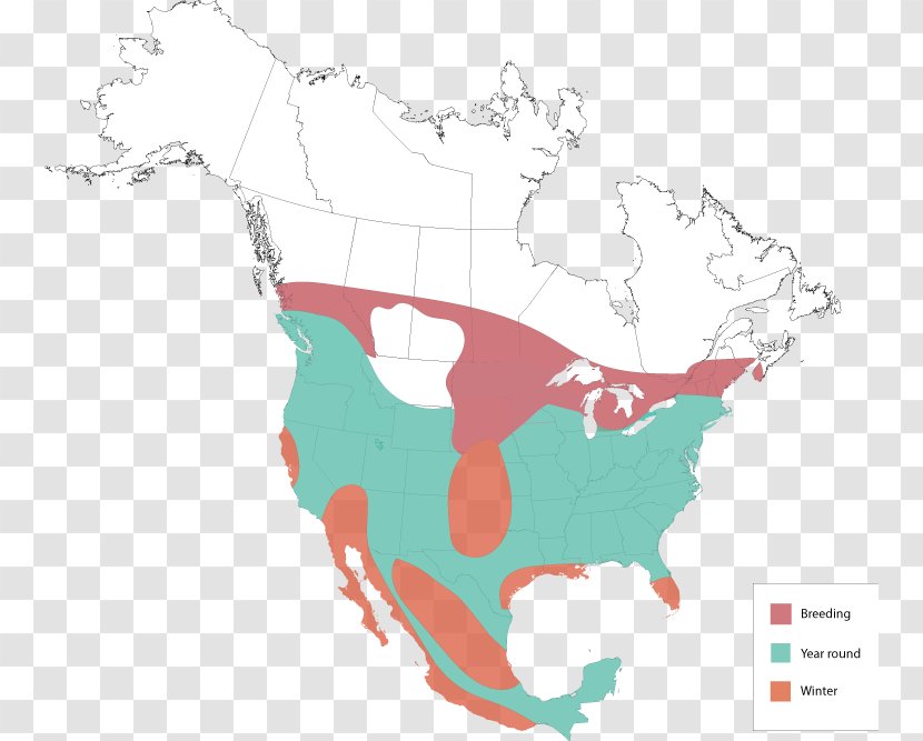 United States Map Royalty-free - Area Transparent PNG