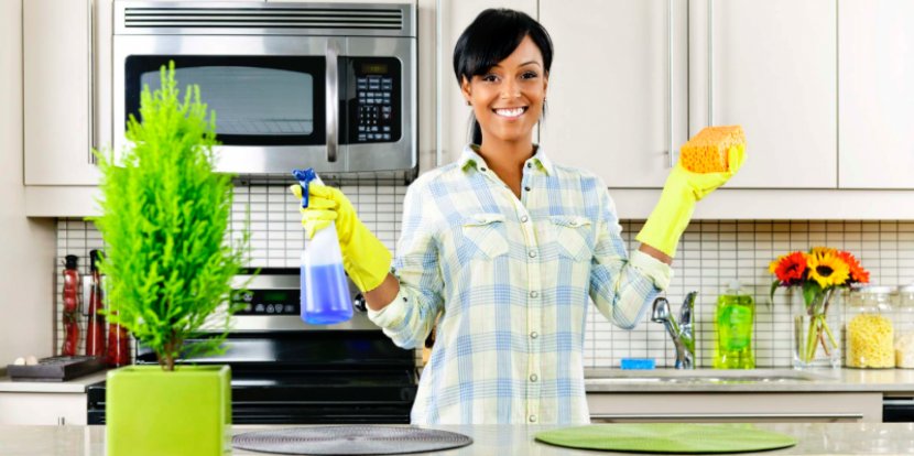 Cleaner Maid Service Cleaning Housekeeping - Plant Transparent PNG