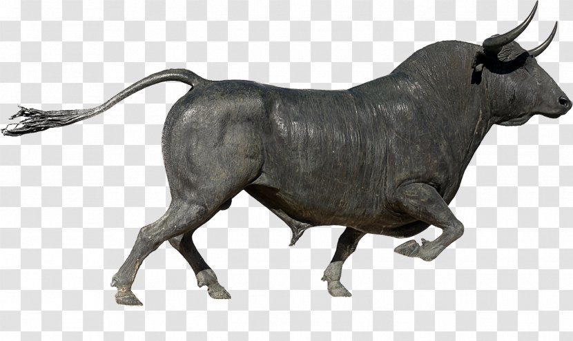 Plaza De Toros Ronda Spanish Fighting Bull Bullring - Organism Transparent PNG