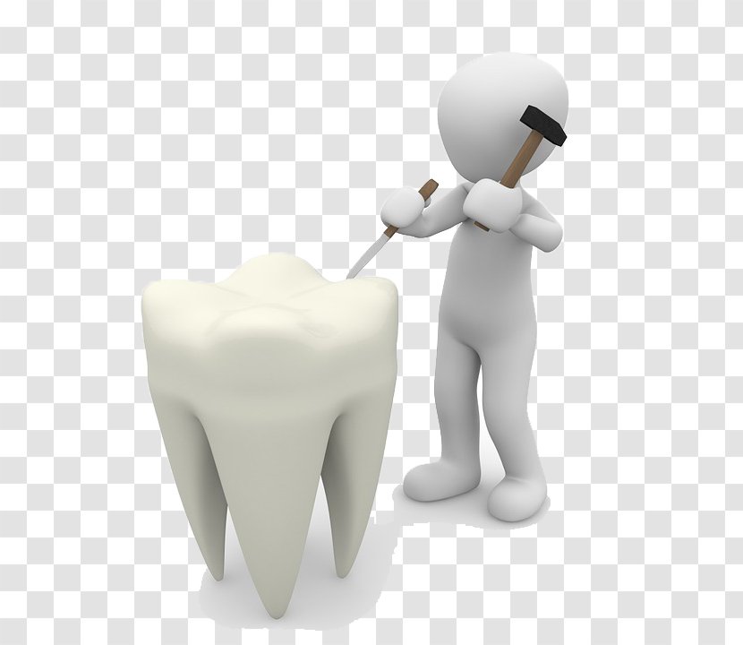 Tooth Pathology Dentistry Enamel Human - Flower - Repair Teeth Transparent PNG