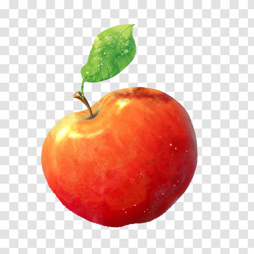 Illustration - Local Food - Red Apple Transparent PNG