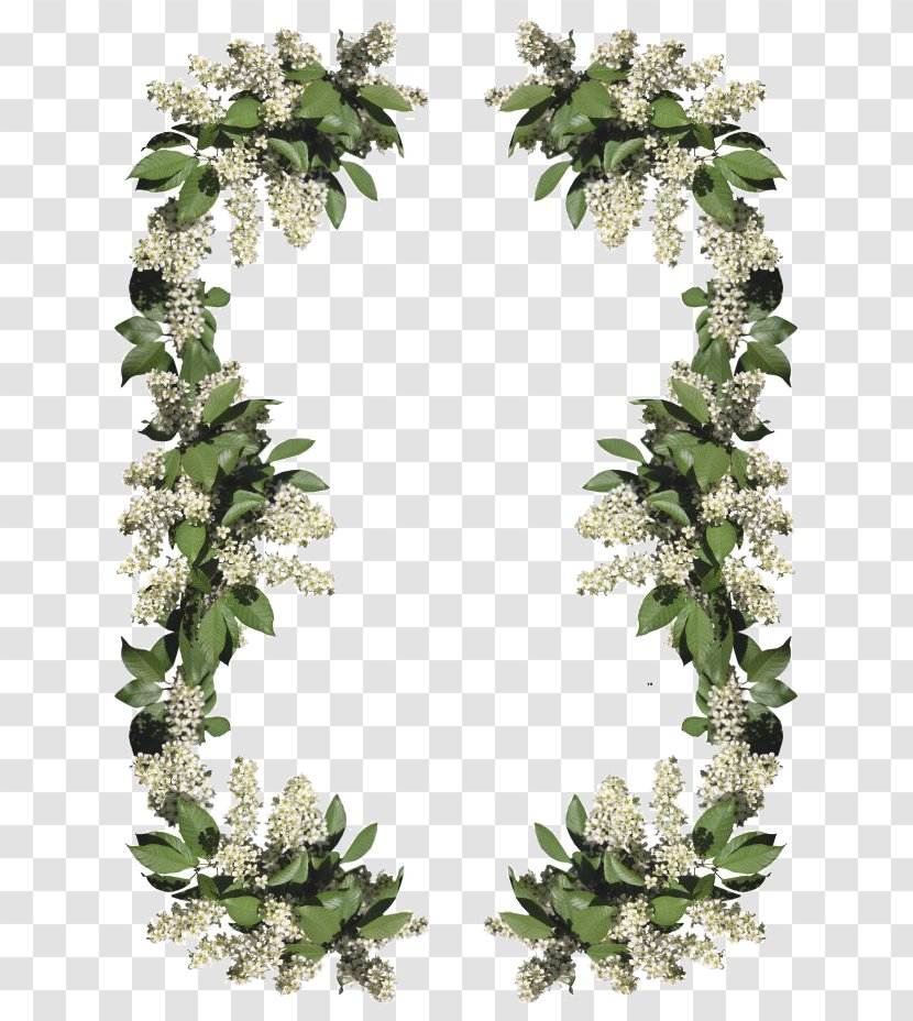Picture Frame Photography - Floral Design - Plant Garland Border Transparent PNG