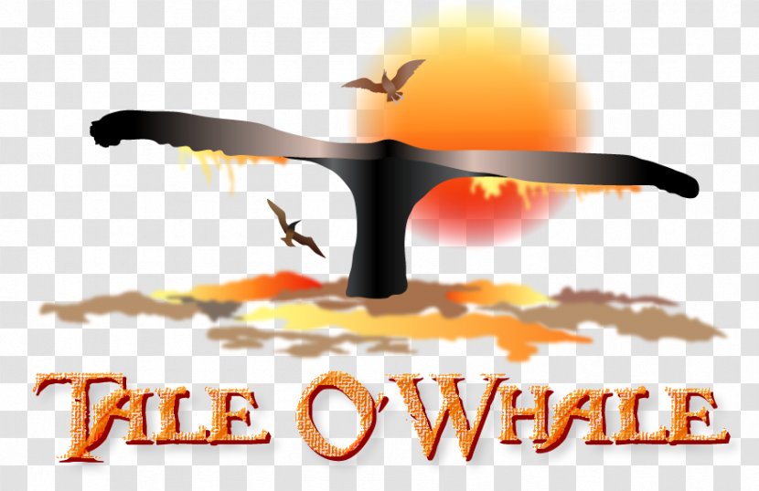 Logo Brand Desktop Wallpaper - Whale Tale Transparent PNG