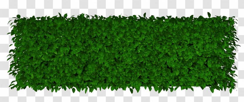 Download Rectangle Icon - Hedge - Grass Altar Transparent PNG