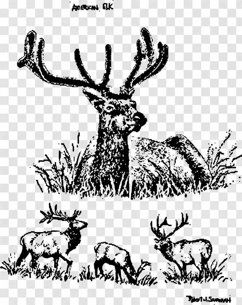 Elk Reindeer United States Clip Art - Wildlife - Clipart Transparent PNG