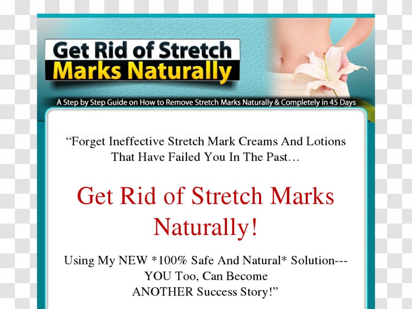 Stretch Marks Web Page - Material Transparent PNG