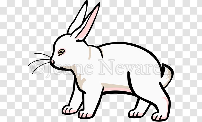 Whiskers Domestic Rabbit Cat Hare Clip Art - Wildlife Transparent PNG