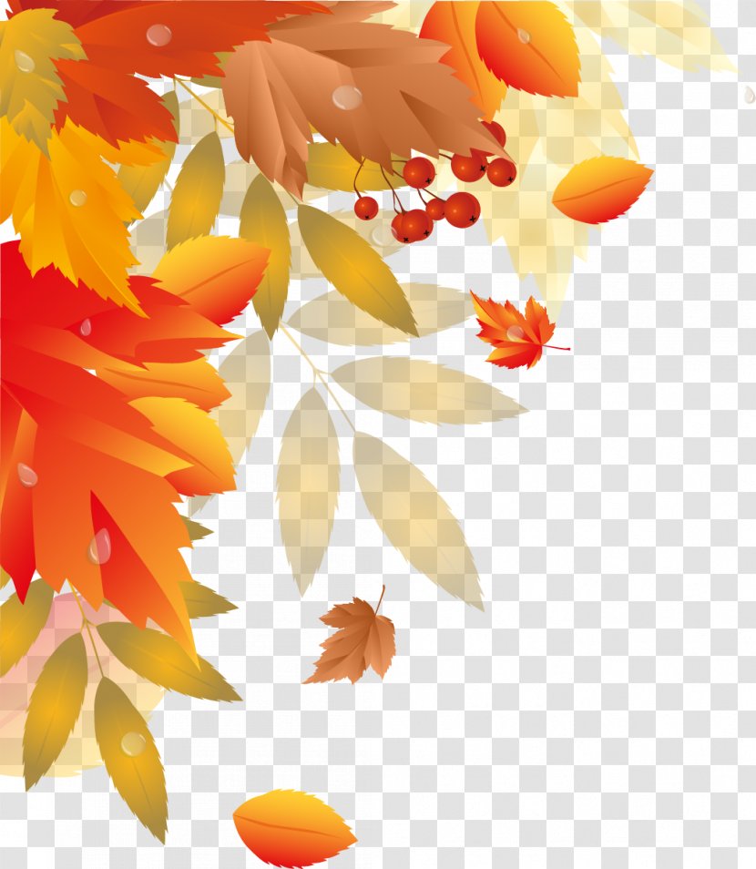 Autumn Leaf Clip Art - Yellow - Leaves Transparent PNG