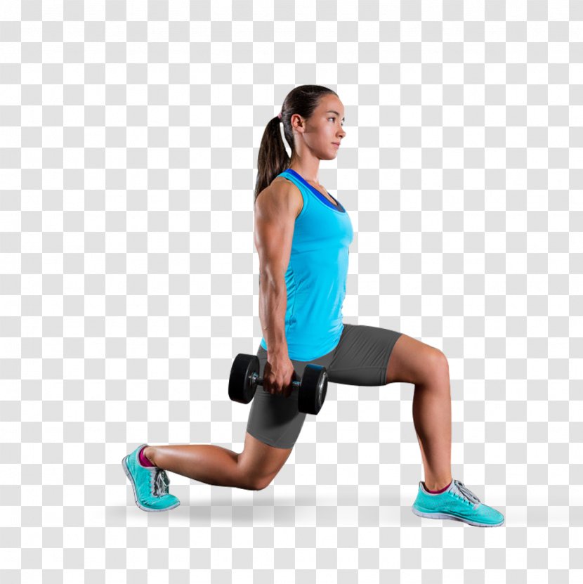 Core Abdominal Exercise Physical Equipment Fitness - Frame - Fit Transparent PNG