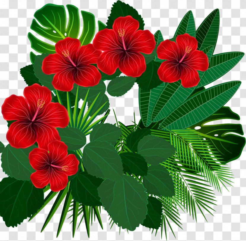 Floral Design Tropics - Plant - Aloha Transparent PNG