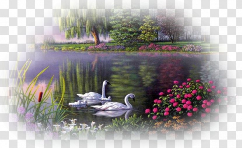Landscape Painting Duck Romantic Sketches, Book 2: 10 Delightful Intermediate Piano Solos In Style - Swan Transparent PNG