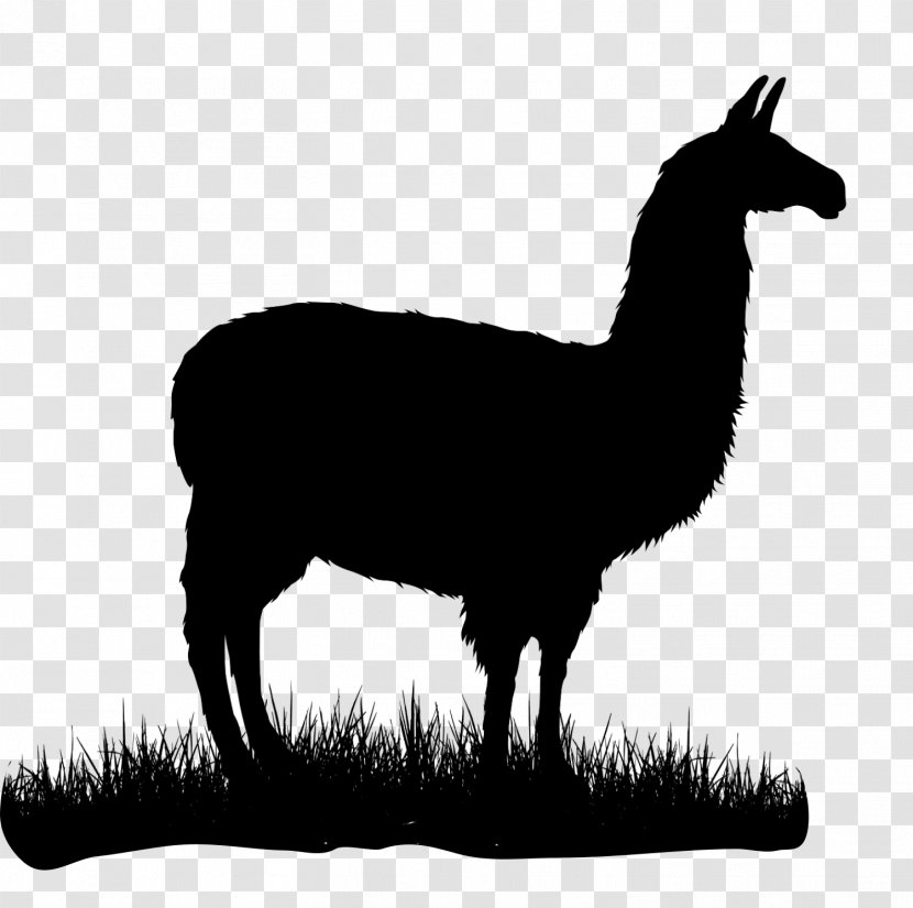 Alpaca T-shirt Llama Camel Silhouette Transparent PNG