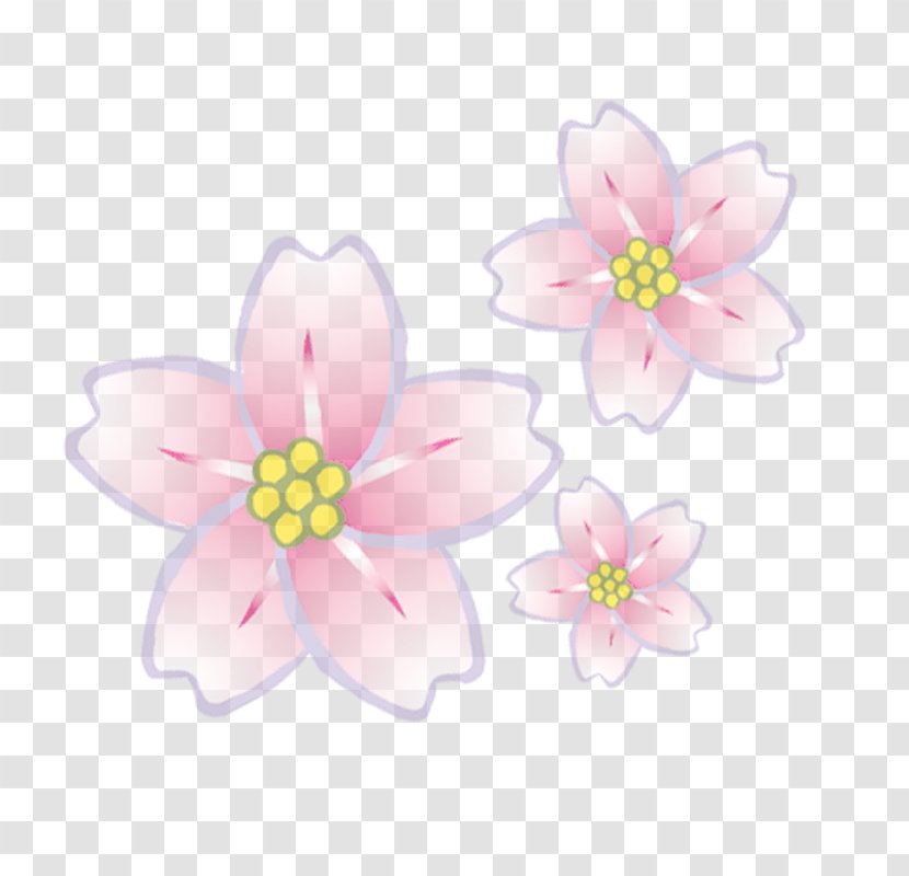 Woman Flower Petal - Peach Blossom Transparent PNG