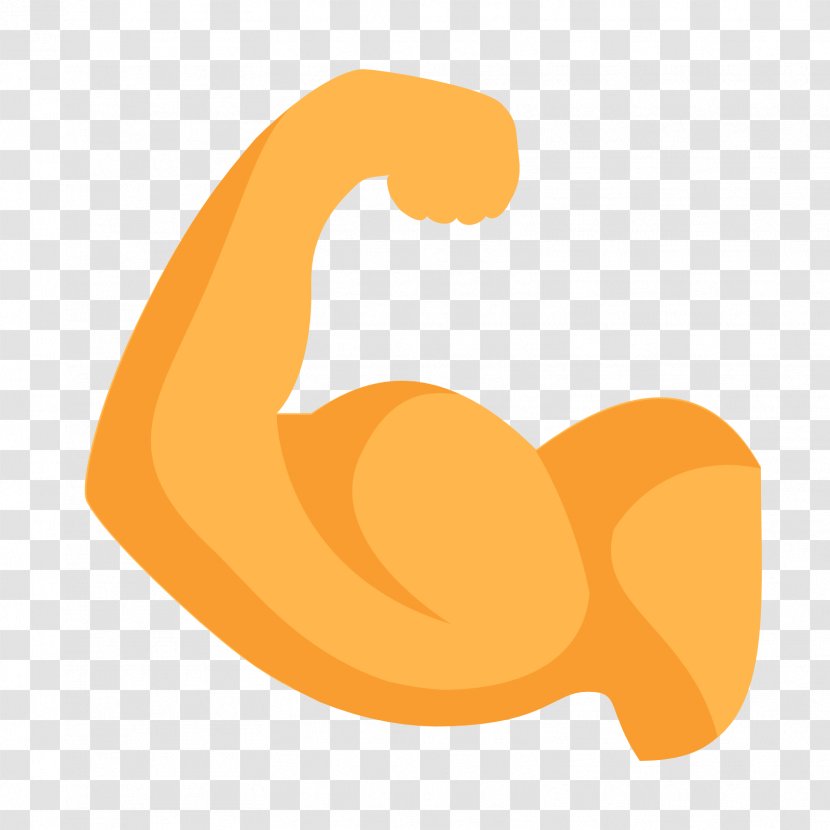Biceps Curl Triceps Brachii Muscle - Tree - Arm Transparent PNG