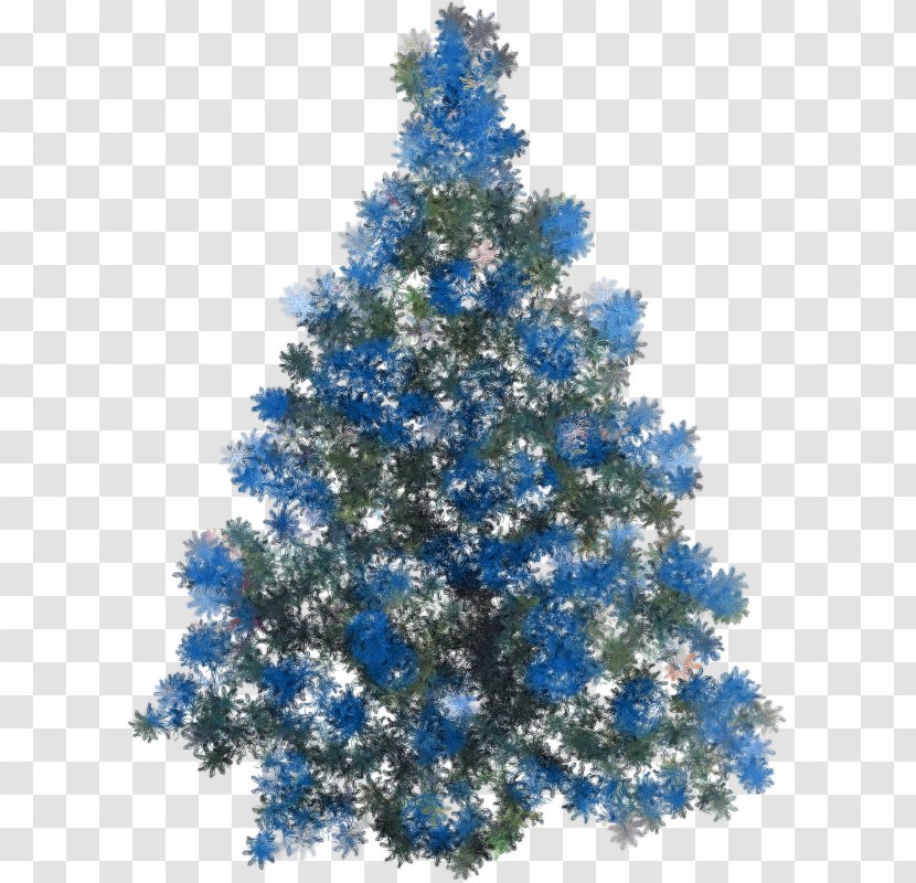 Christmas Tree Fir Ornament - Cartoon Transparent PNG