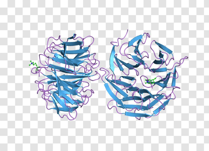 WDR5 Protein Gene Illustration Clip Art - Drawing - Ebi Transparent PNG