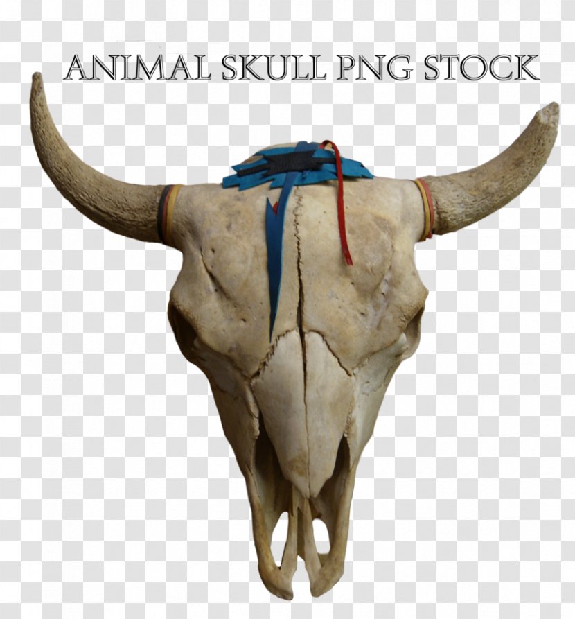 Cattle Animal Skulls Pronghorn - Skull Transparent PNG