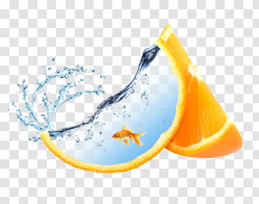 Orange Desktop Wallpaper Fruit Auglis - Oranges Inside The Fish Material Transparent PNG