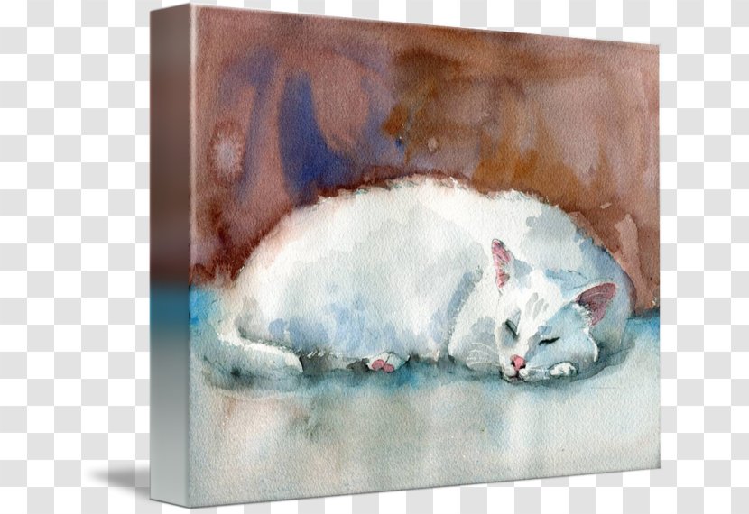 Whiskers Watercolor Painting Kitten Portrait - Cat Transparent PNG