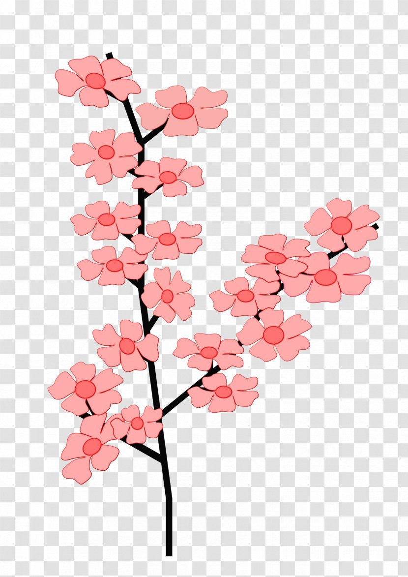 Cherry Blossom Tree Drawing - Moth Orchid - Wildflower Pedicel Transparent PNG