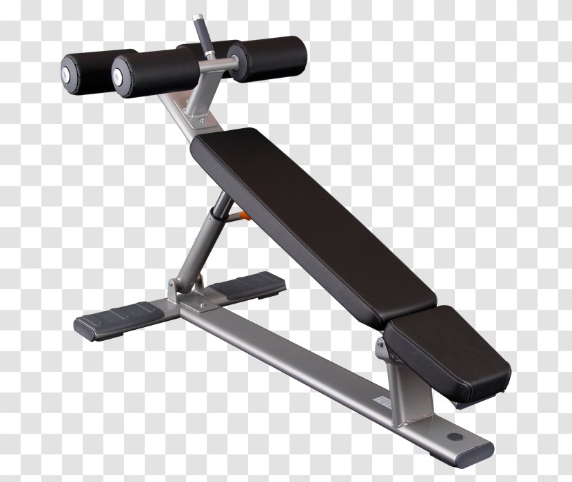 Bench Crunch Hyperextension Abdomen Exercise Equipment - Dumbbell Transparent PNG