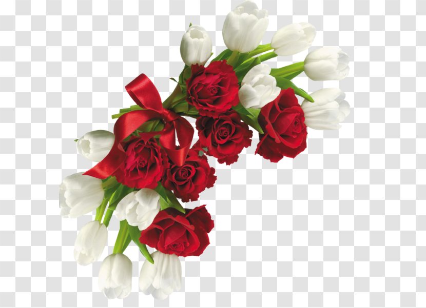 Flower .net - Cut Flowers Transparent PNG