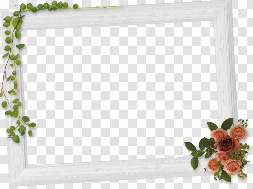Window Picture Frames Cut Flowers Rectangle Transparent PNG