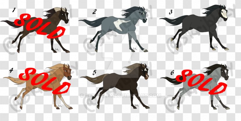 Mustang Dog Pack Animal Horse Tack Transparent PNG