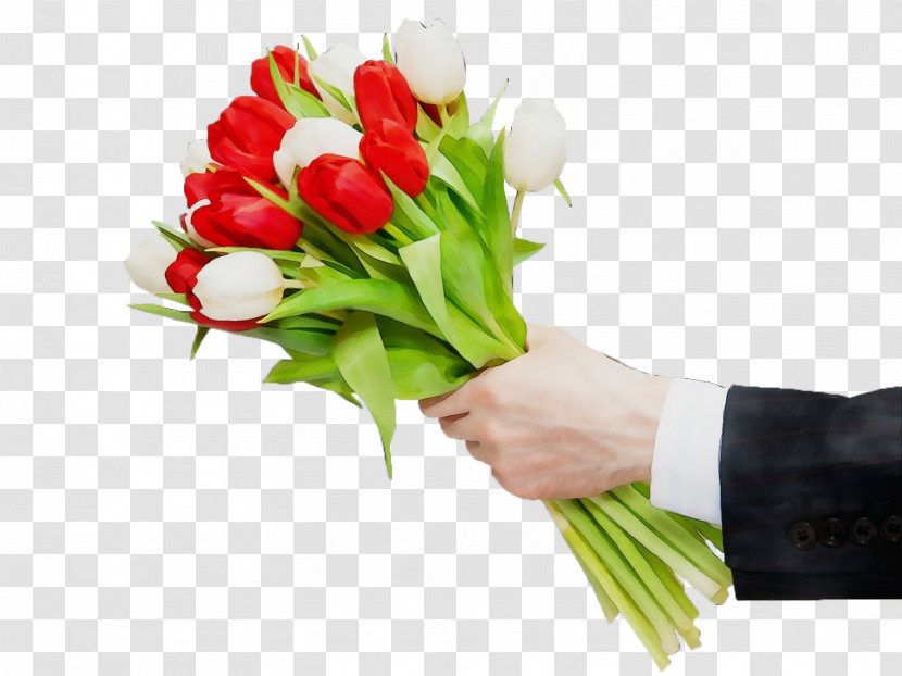 Flower Bouquet Cut Flowers Tulip Plant Transparent PNG