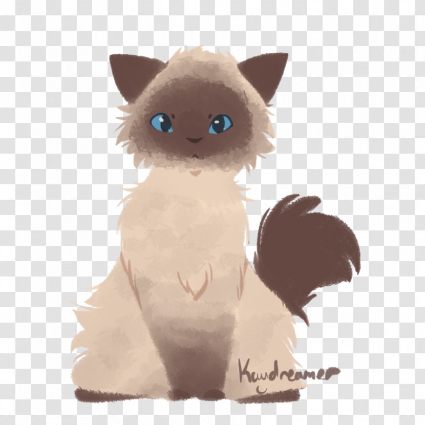 Whiskers Kitten Fur Snout Paw Transparent PNG