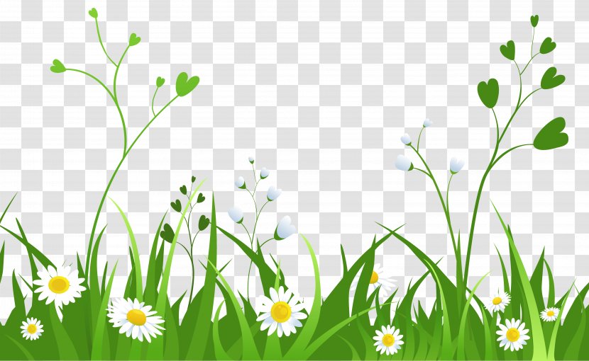 Clip Art - Petal - Daisies With Grass Clipart Picture Transparent PNG