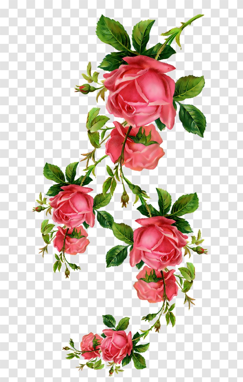 Paper Flower Clip Art - Rose Order Transparent PNG