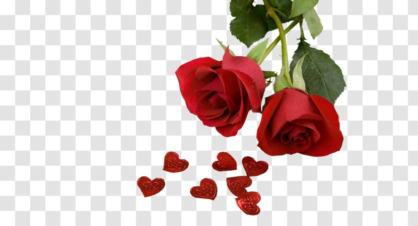Valentine's Day Flower Bouquet Rose Desktop Wallpaper - Frame - Heart Transparent PNG