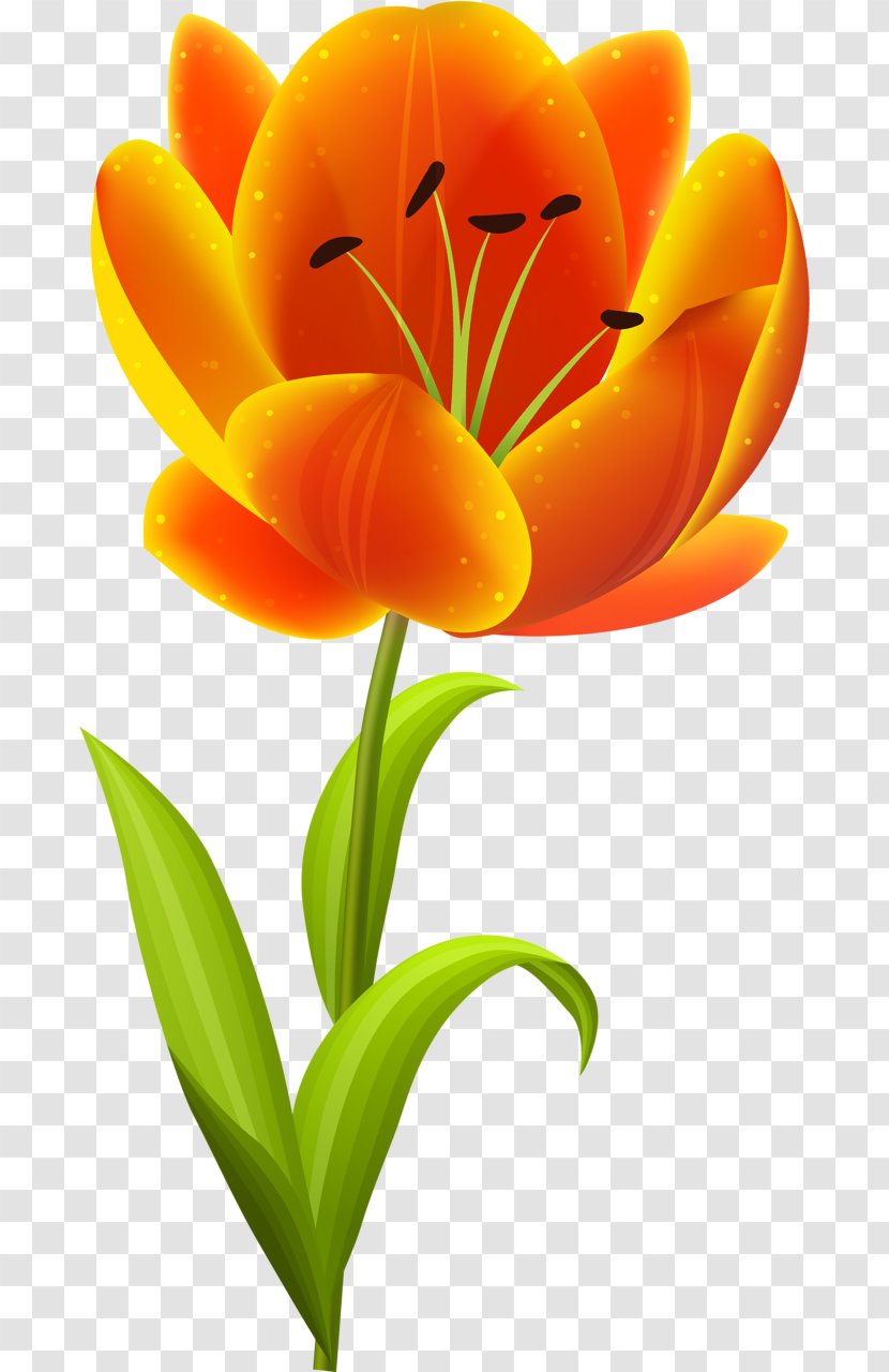 Flower Tulip Clip Art Orange Transparent Png,How To Cook Chicken Feet