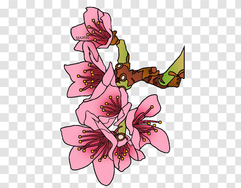 Floral Design Cherry Blossom Peach Clip Art - Flower Arranging Transparent PNG