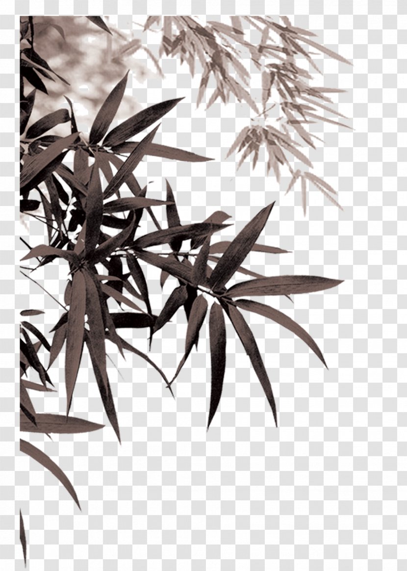 Bamboo Download - Black And White - Ink Leaves Transparent PNG