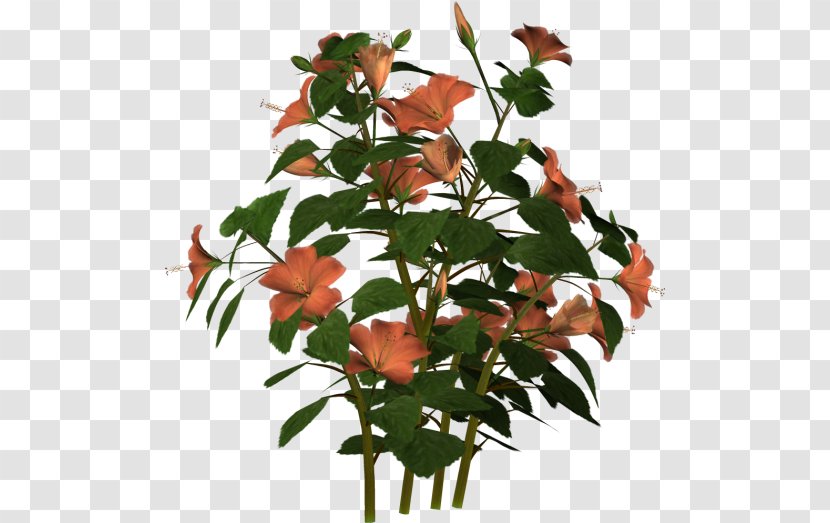 Cut Flowers Flowerpot Plant Stem Leaf - Branch Transparent PNG