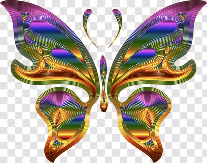 Butterfly Insect Clip Art - Search Box - Wing Transparent PNG