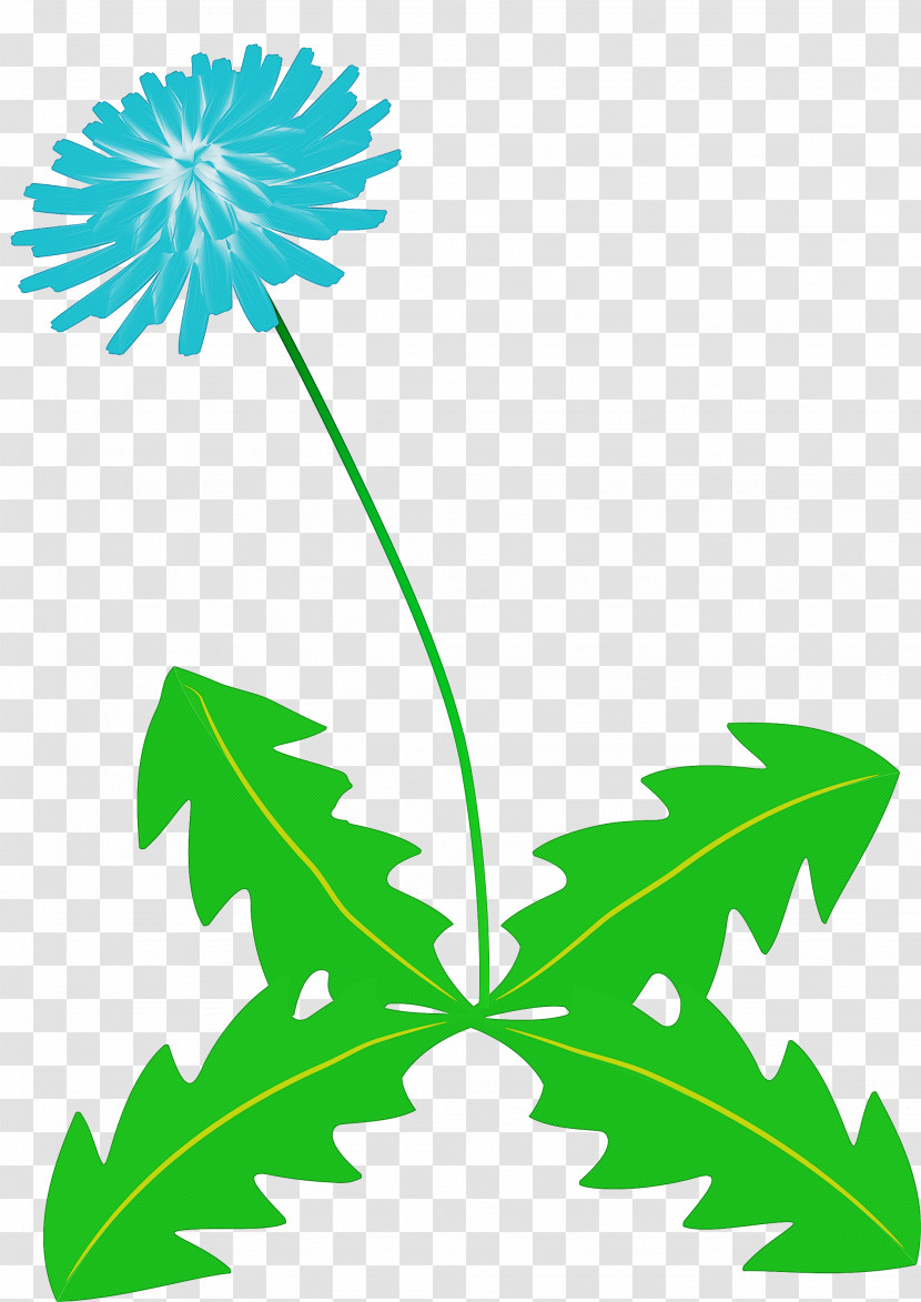 Dandelion Flower Transparent PNG