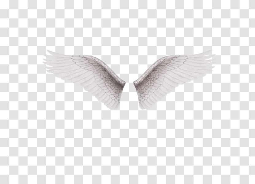 Alas Software - Wing - A Pair Of White Wings Transparent PNG
