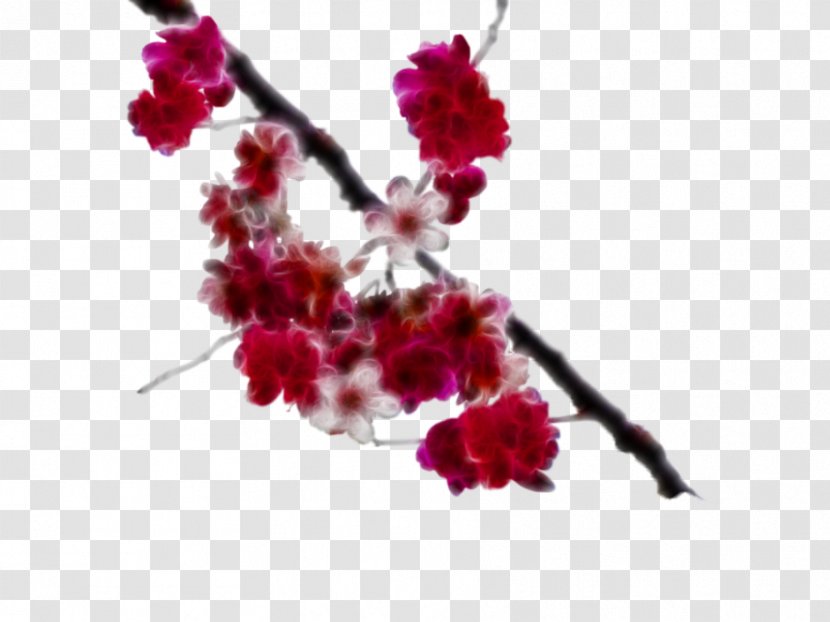 National Cherry Blossom Festival Branch - Paint - BLOSSOM Transparent PNG