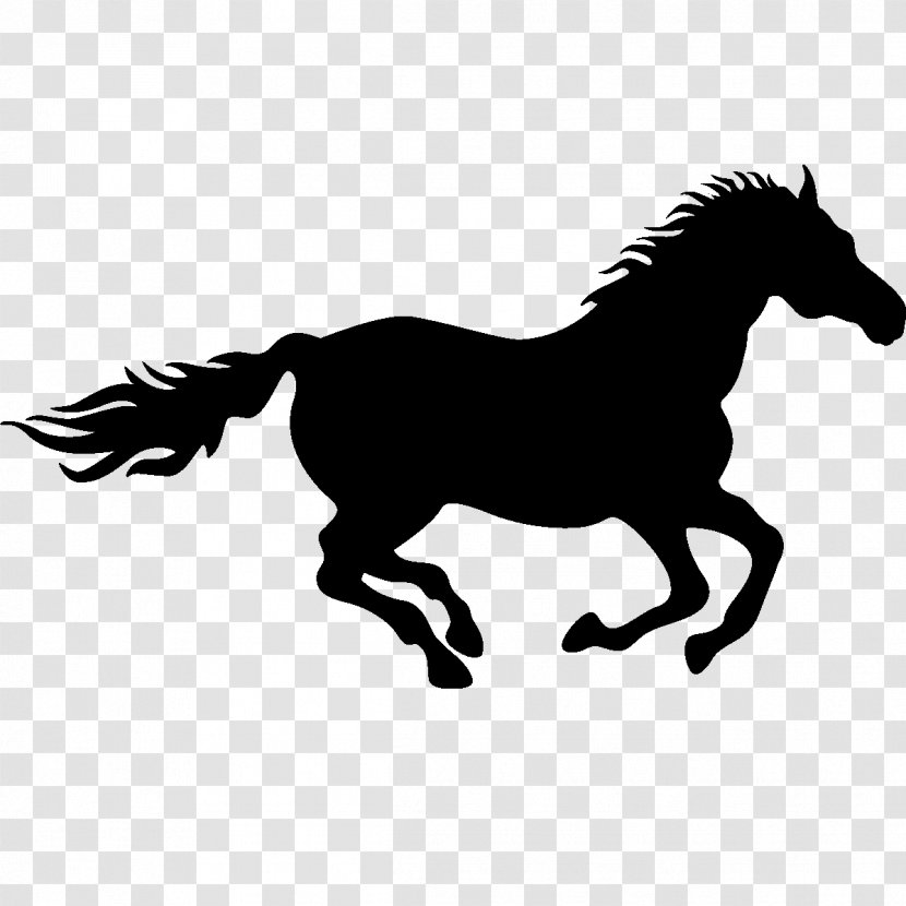 Horse Drawing Silhouette Clip Art - Royaltyfree - Running Transparent PNG
