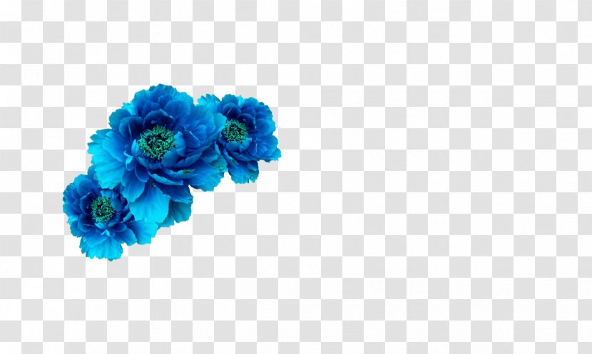 Blue Flower Crown Wreath Aqua Transparent PNG