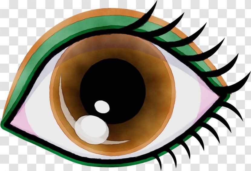 Eyebrow Wink Visual Perception Eyelash - Eye - Iris Brown Transparent PNG