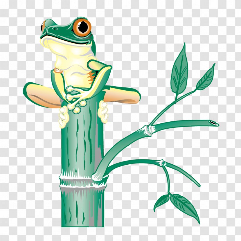 Tree Frog Clip Art - Green - On Branch Transparent PNG